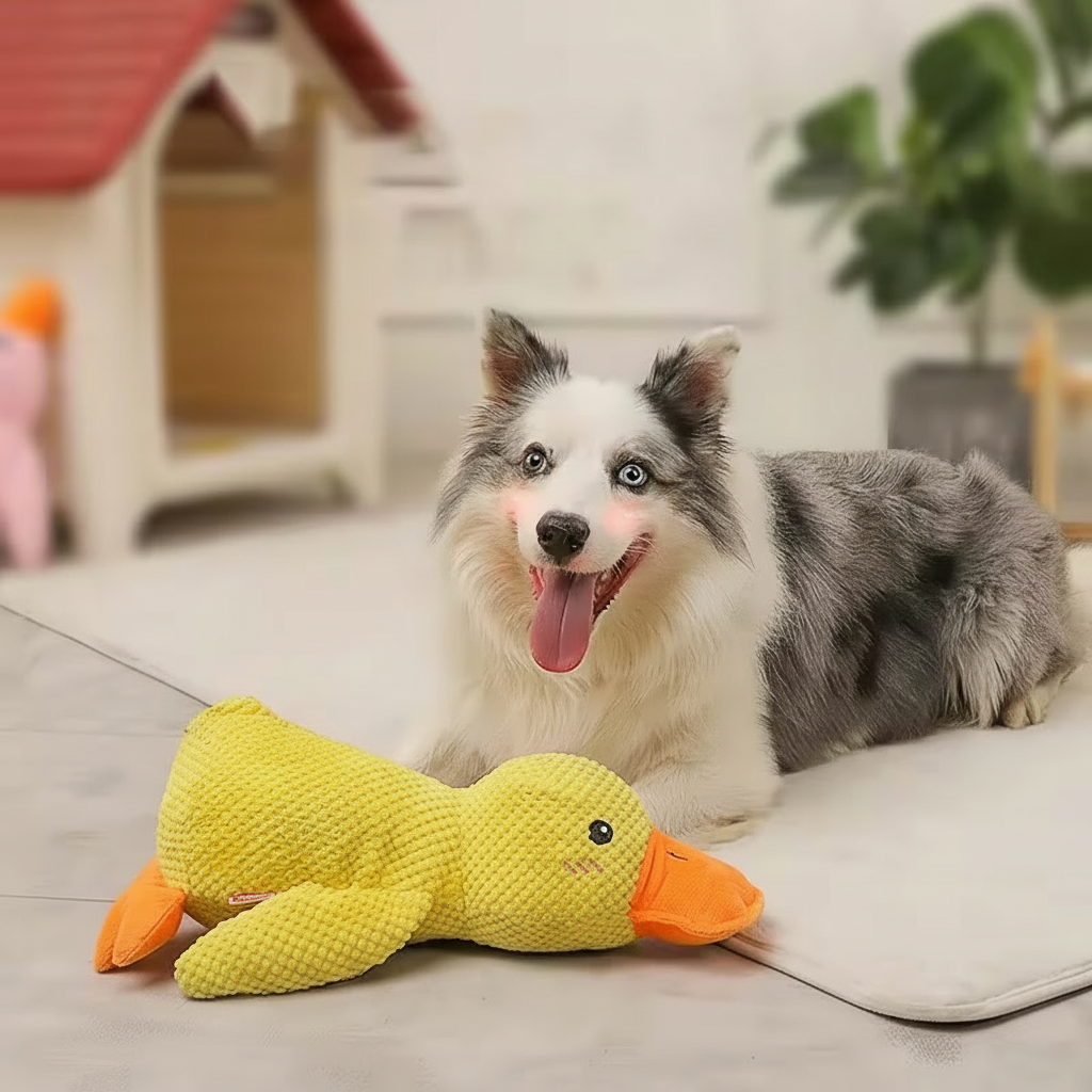 Plush Duck Toy – Soft Companion with Squeak Sound for Dogs