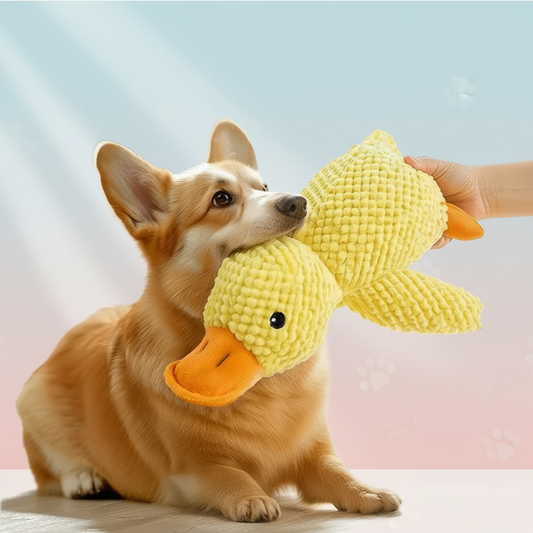 Plush Duck Toy – Soft Companion with Squeak Sound for Dogs
